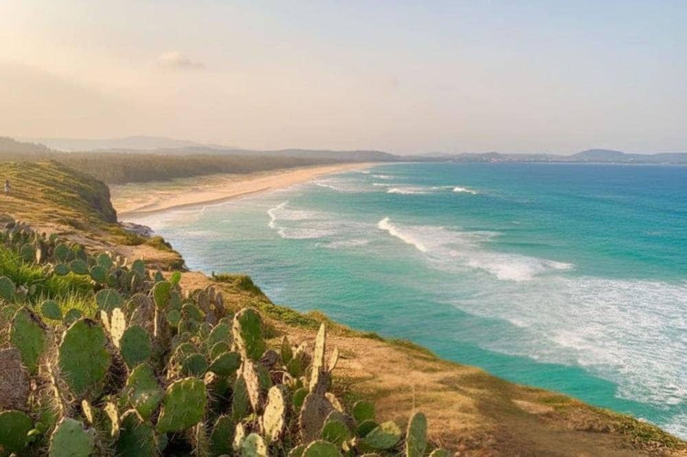 Bãi Xép tạm dừng đón khách từ tháng 09/2024 để nâng cấp hạ tầng du lịch