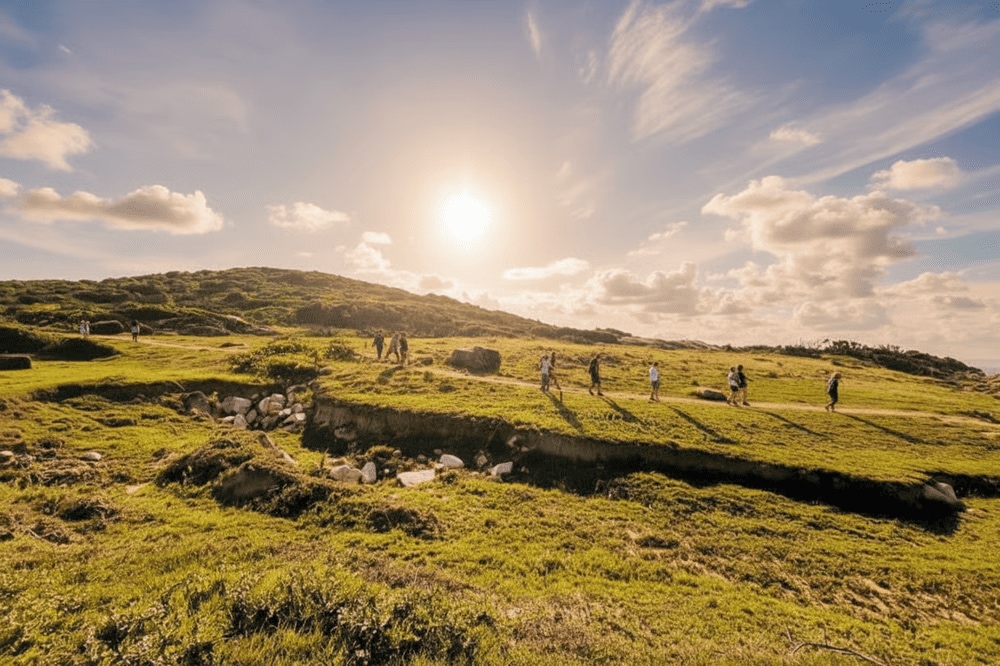 Thảm cỏ xanh ngắt đẹp không kém Bãi Xép