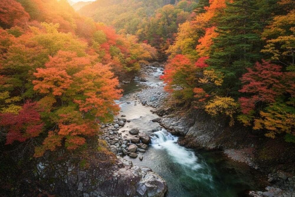 Tohoku mùa thu được nhuộm màu đỏ rực rỡ của rừng cây.