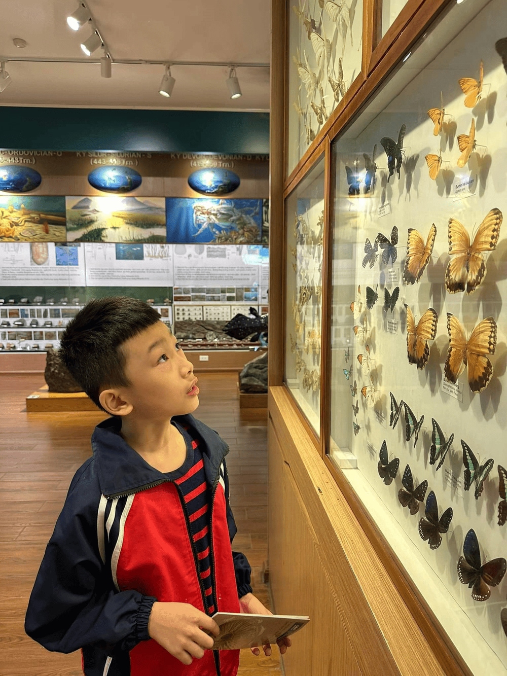 Các bộ sưu tập của mỗi loài đều được chú thích rõ ràng (Nguồn: Bảo tàng Thiên nhiên Việt Nam)