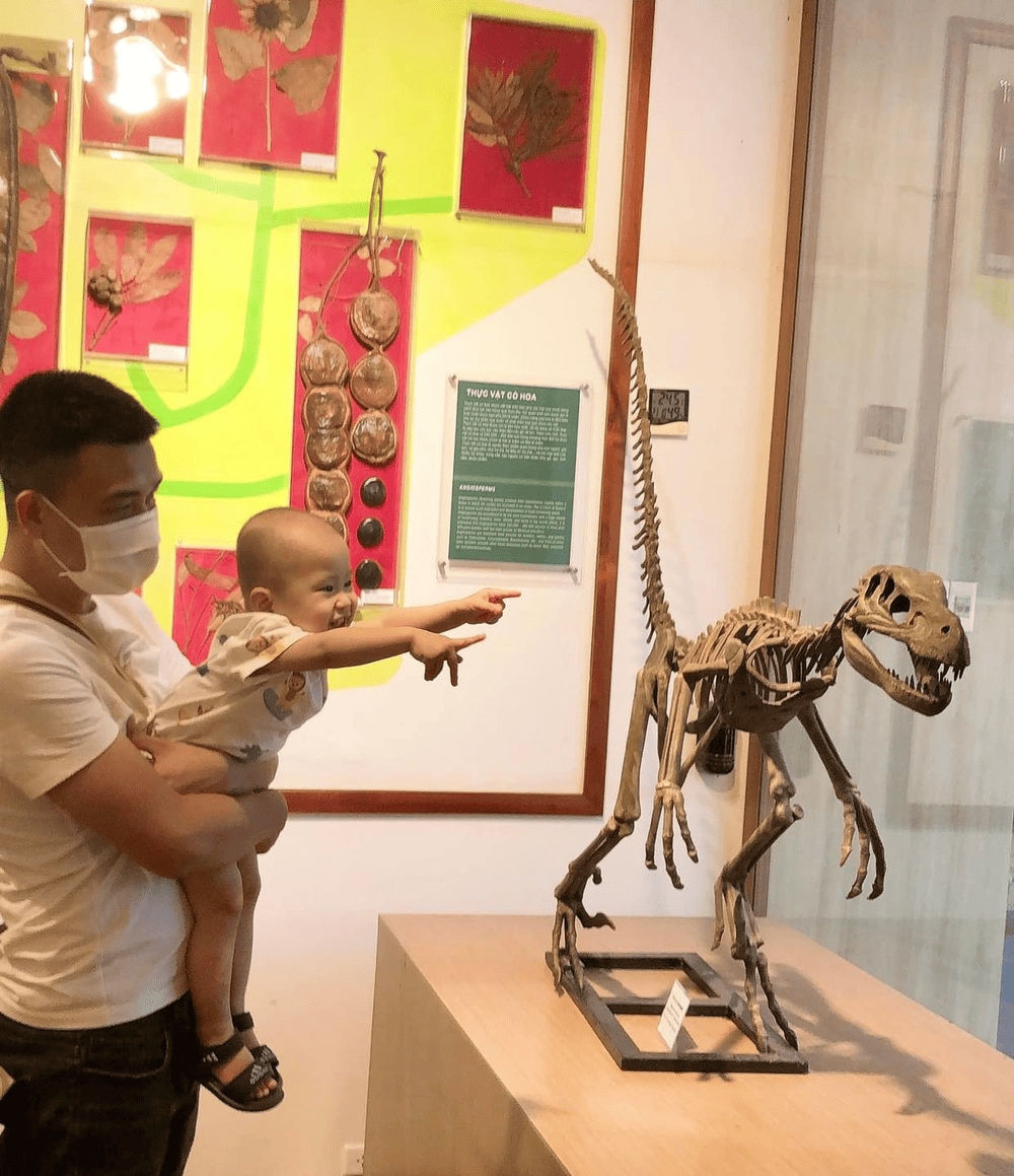 Hóa thạch khủng long tái hiện sinh động lịch sử Trái Đất cổ đại (Nguồn: Bảo tàng Thiên nhiên Việt Nam)