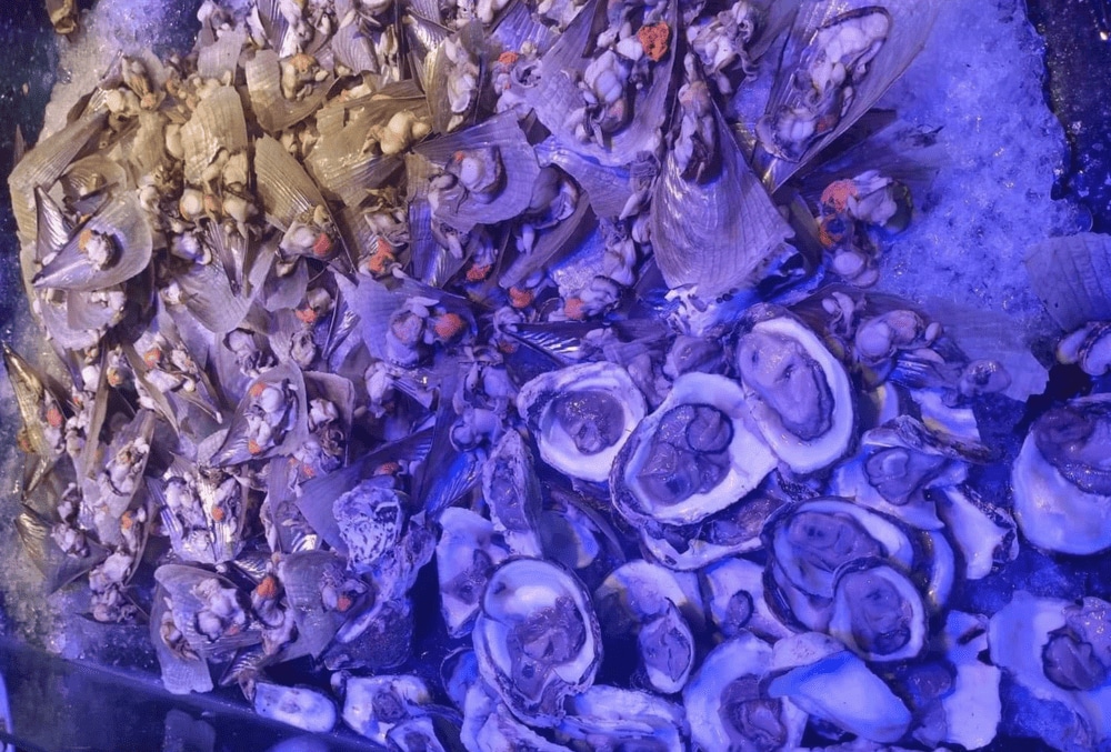 Buffet Duyên Hải đặc trưng là hải sản thả hồ tươi sống, giữ nguyên vị ngọt khi ăn (Nguồn: Buffet Duyên Hải)