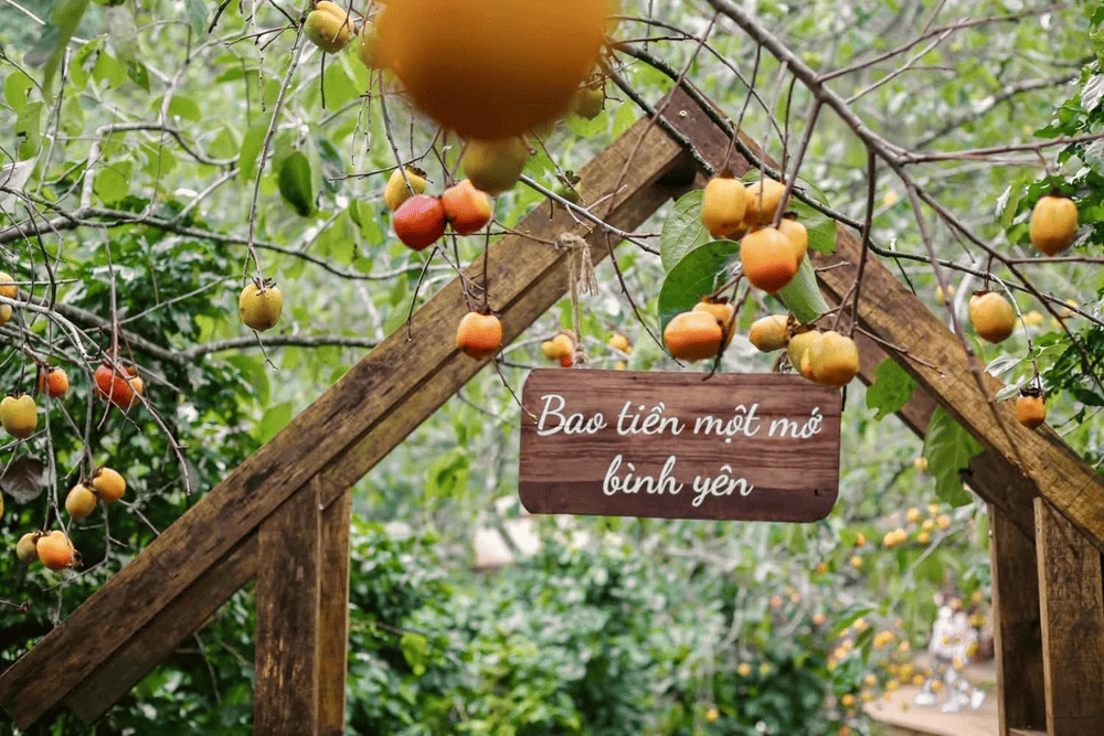 Bao Tiền Một Mớ Bình Yên là một góc nhỏ mang hơi thở thiên nhiên, níu chân du khách bởi cây cỏ xanh tươi và thác suối chảy rì rào (Nguồn: Fanpage Bao tiền một mớ bình yên)