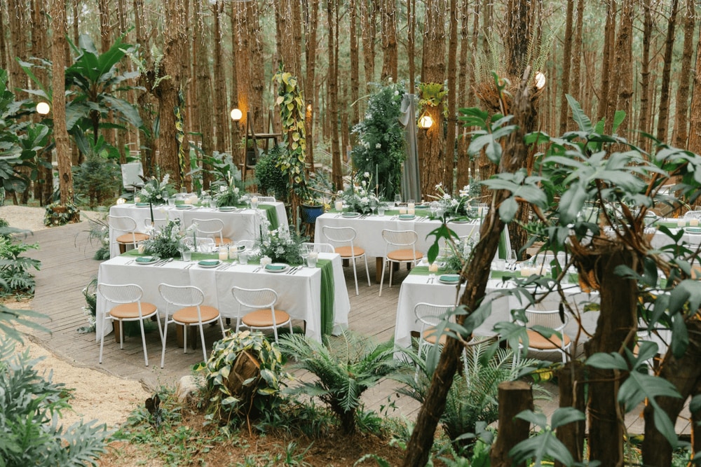 Mơ Farm & Bistro còn là nơi được nhiều du khách lựa chọn để tổ chức nhiều đêm tiệc sôi động (Nguồn: Fanpage Rừng Thông Mơ Farm & Bistro)