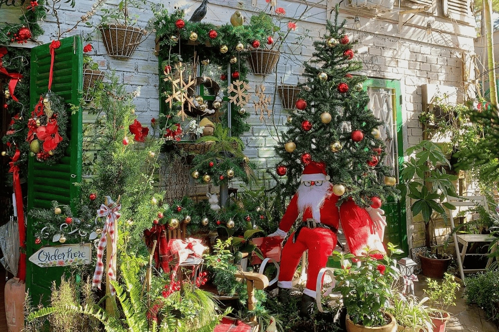 Quán cập nhật liên tục nhiều xu hướng trang trí theo từng thời điểm trong năm (Nguồn: Fanpage Dưới Tán Thông Già Coffee House)