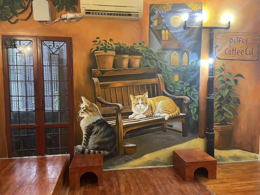 Meo’s House được trang trí với những bức tranh vẽ mèo độc đáo