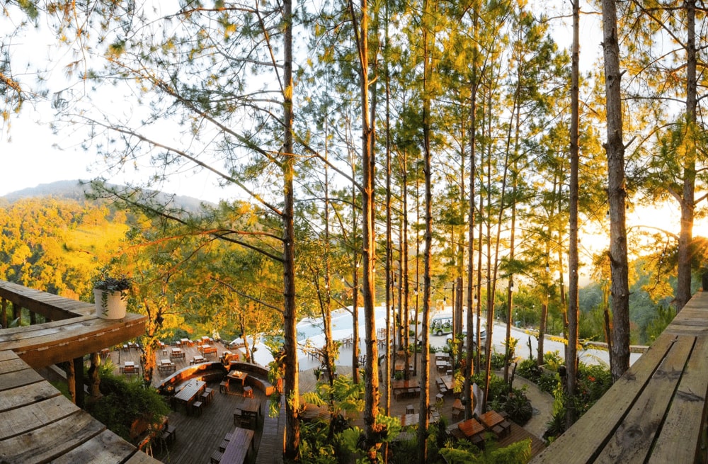 Seven-T Coffee – góc nhỏ bình yên giữa rừng thông, nơi “ngôi nhà gỗ 7 chú lùn” ẩn mình giữa thiên nhiên Đà Lạt thơ mộng. (Nguồn: Cao Nguyên Hoa Đà Lạt)