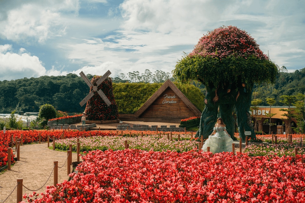 Cánh quạt gió Hà Lan đầy màu sắc là điểm chụp ảnh thu hút nhiều du khách (Nguồn: Khu du lịch Fresh Garden Dalat)