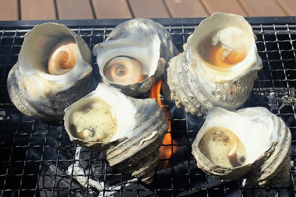 Ốc mặt trăng được chế biến theo nhiều cách, đem lại những trải nghiệm ẩm thực độc đáo cho du khách