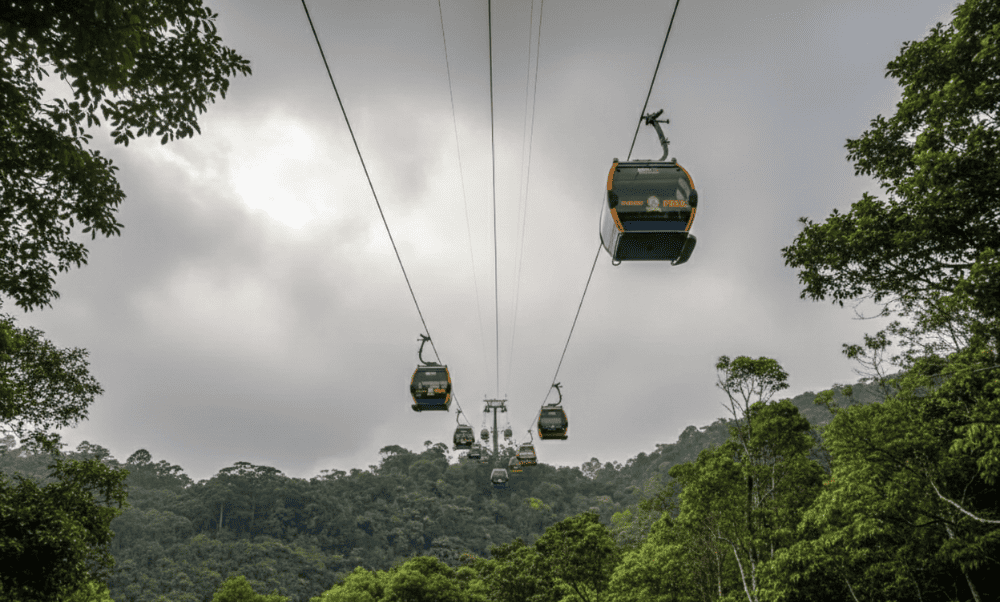 Hệ thống cáp treo dài 2.267m tại Đồi Robin giúp du khách có thể chiêm ngưỡng vẻ đẹp của núi rừng, các ngôi nhà lồng kính trồng hoa từ trên cao