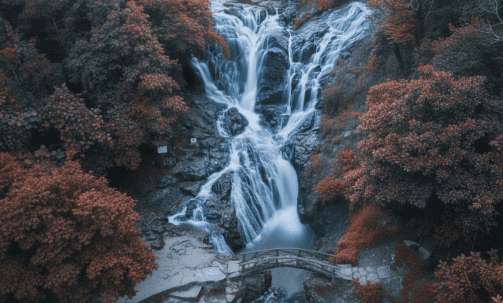 Thác Datanla tựa bức tranh hùng vĩ với dòng nước trắng xóa cuộn trào qua ghềnh đá, hòa quyện cùng vẻ đẹp hoang sơ của đại ngàn Tây Nguyên