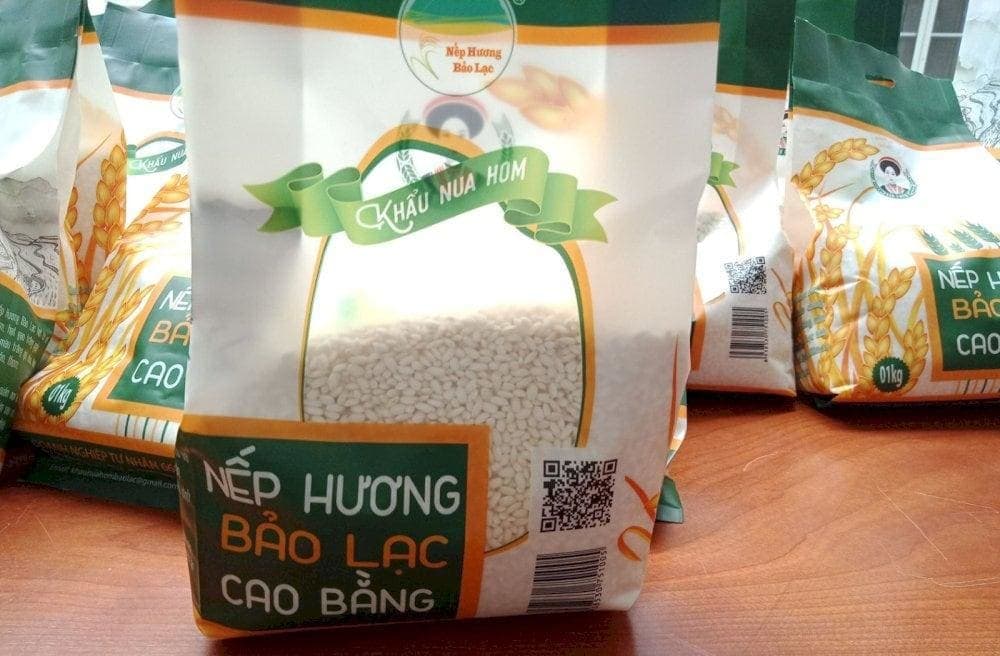 Gạo khi nấu lên có độ dẻo và hương thơm đặc trưng (Nguồn: Nếp Hương Bảo Lạc)