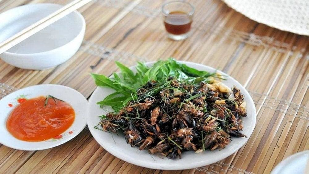 Dế cơm chiên nước mắm - món ăn độc đáo giàu protein