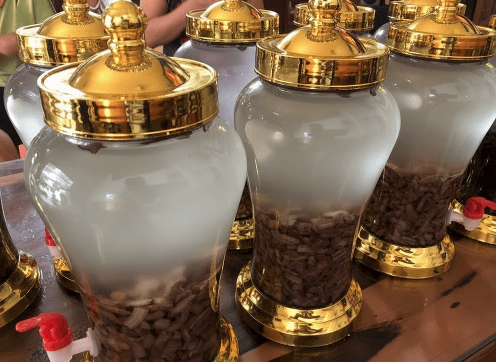 Rượu ba kích là món rượu nổi tiếng với tác dụng bổ dưỡng, được chế biến từ ba kích tím ngâm với rượu nếp