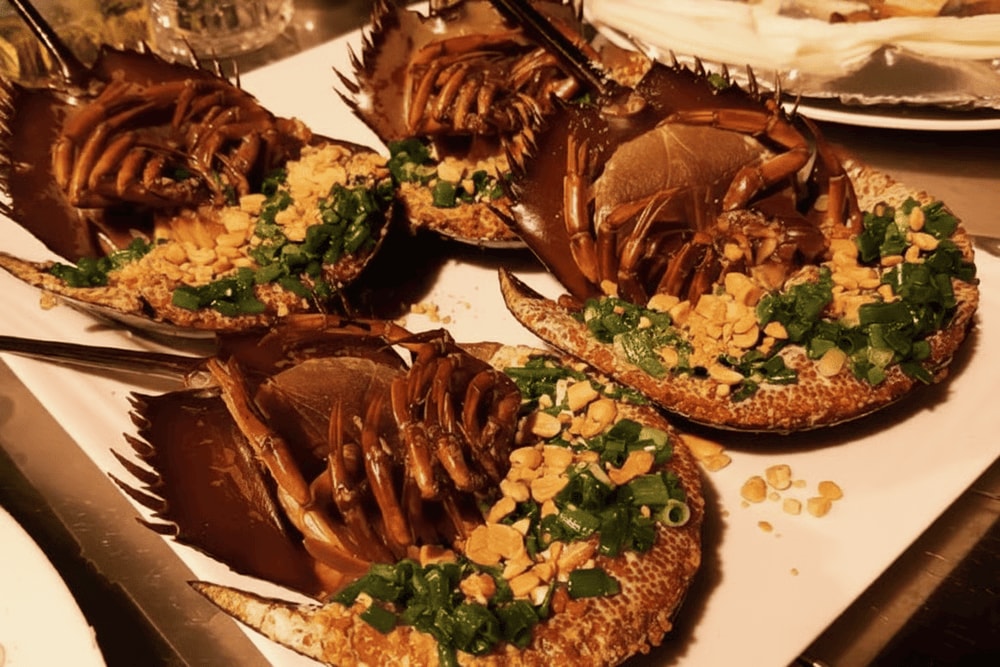 Sam biển là hải sản đặc trưng của vùng biển Hạ Long, có thịt ngọt, béo và rất bổ dưỡng