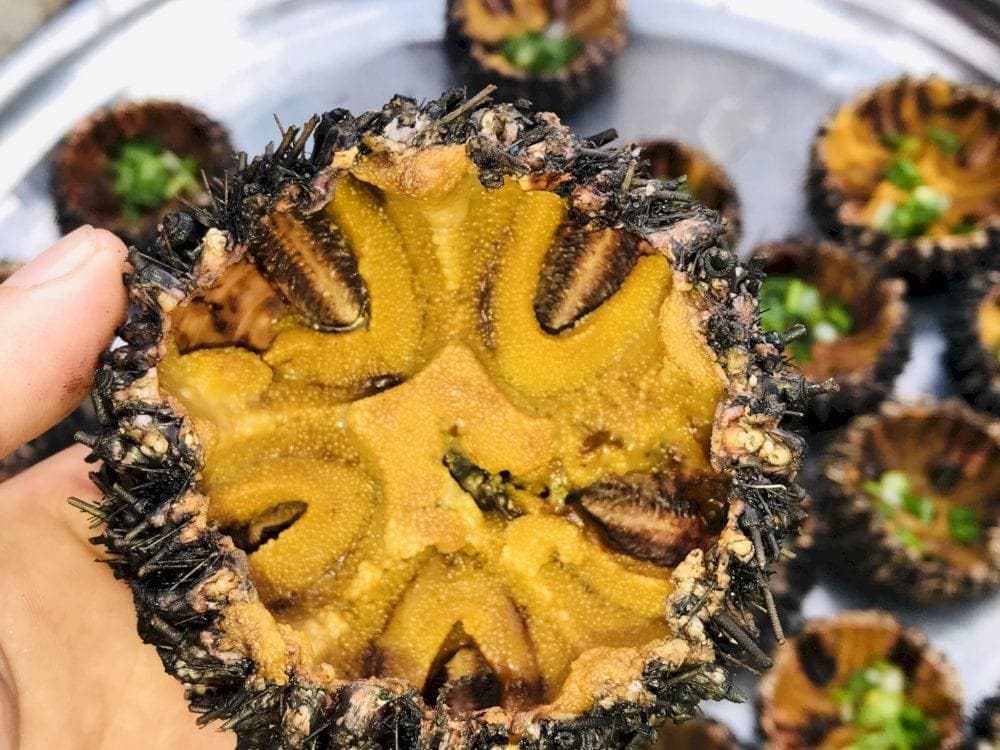 Nhum biển Phú Quốc trứng vàng ươm, vị ngọt đậm đà