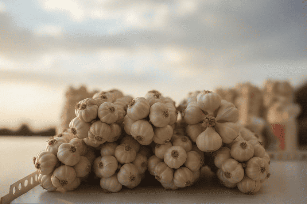 Tỏi Lý Sơn