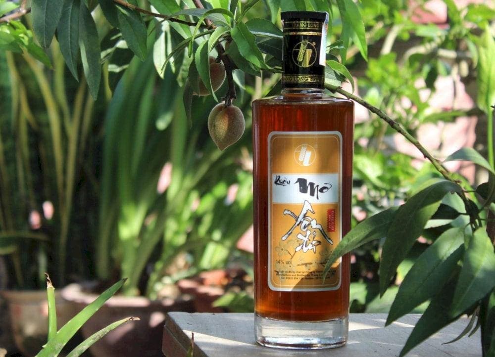 Rượu mơ Yên Tử được chế biến từ quả mơ tươi với hương vị chua ngọt, dễ uống (Nguồn: Rượu Mơ Yên Tử)