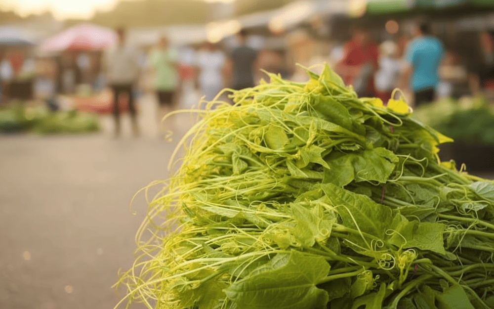 Ngọn su su Tam Đảo