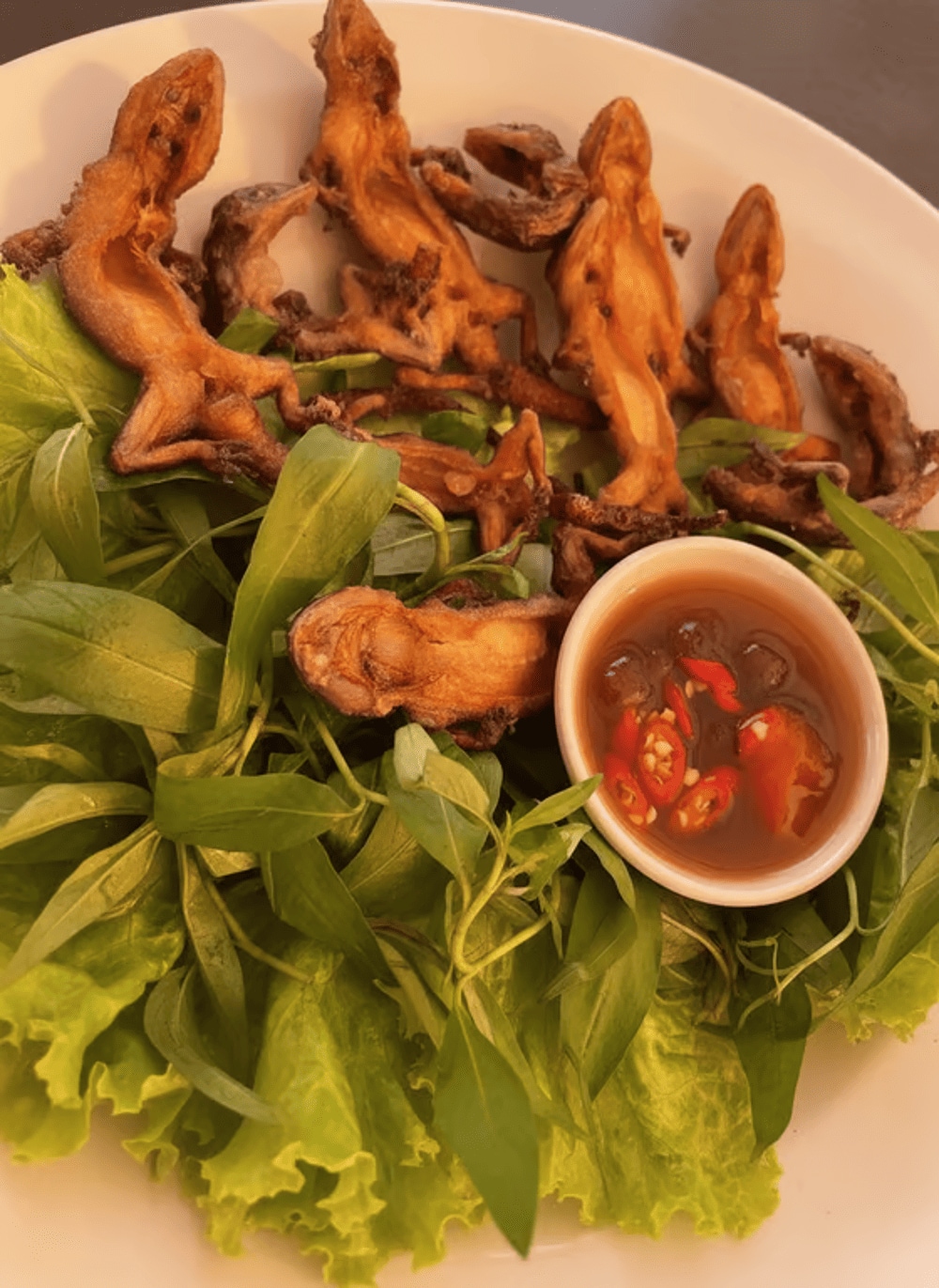 Thằn lằn núi Bà Đen