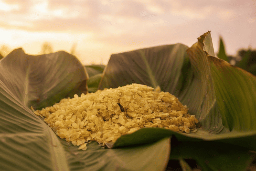 Cốm xanh Thanh Hương