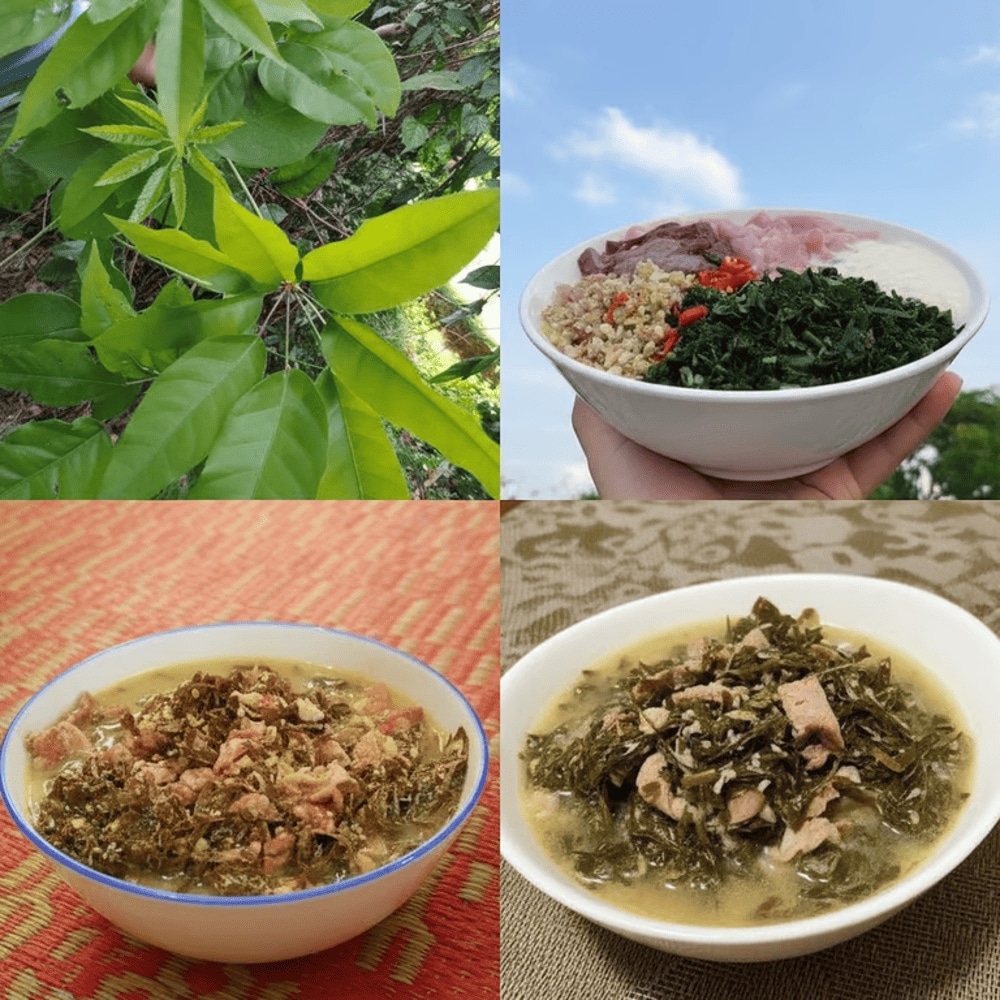 Canh lá đắng