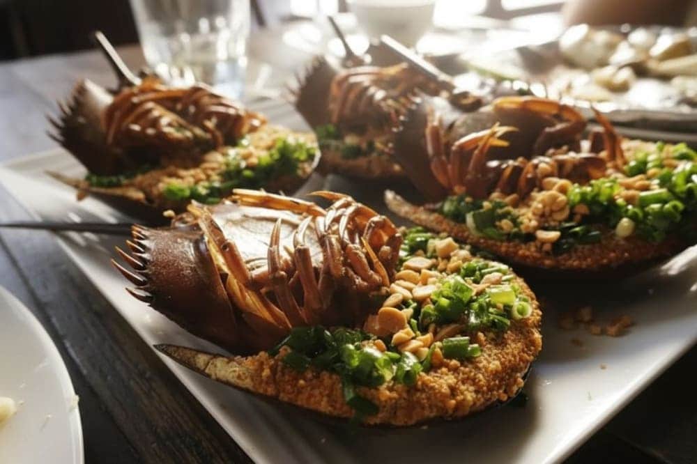 Đừng bỏ lỡ đặc sản sam biển khi đến Gò Công, Tiền Giang