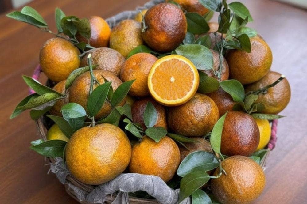 Cam sành từ vùng đất Hàm Yên với vị chua ngọt cân đối, mang lại sự tươi mới và hương vị tuyệt vời, là món quà từ thiên nhiên