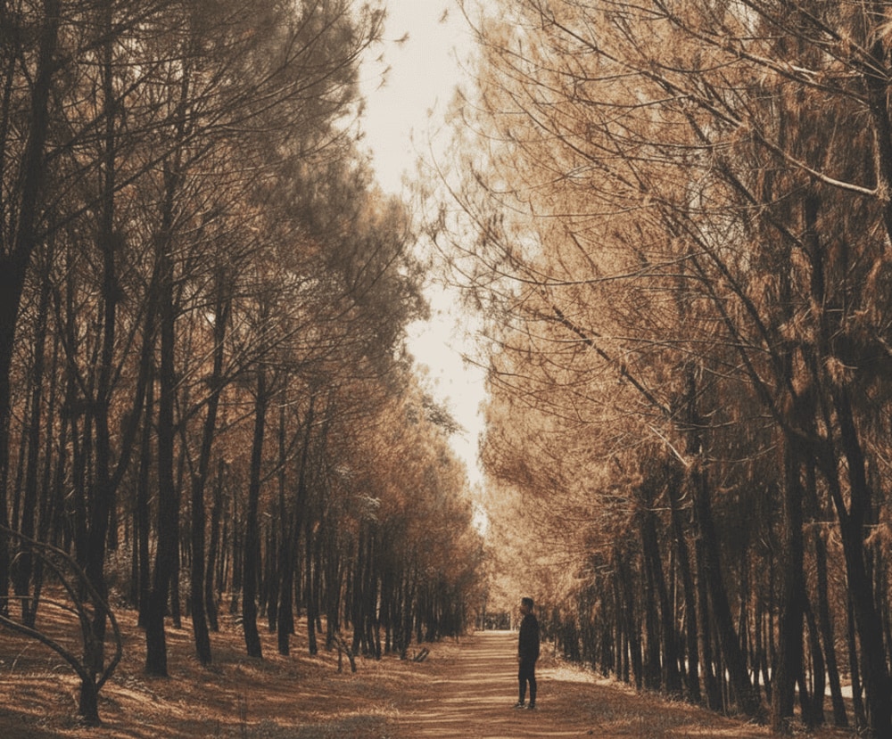 Du khách nên mang giày thể thao hoặc giày dép thoải mái vì đến đồi Vọng Cảnh sẽ cần tản bộ và leo dốc nhiều