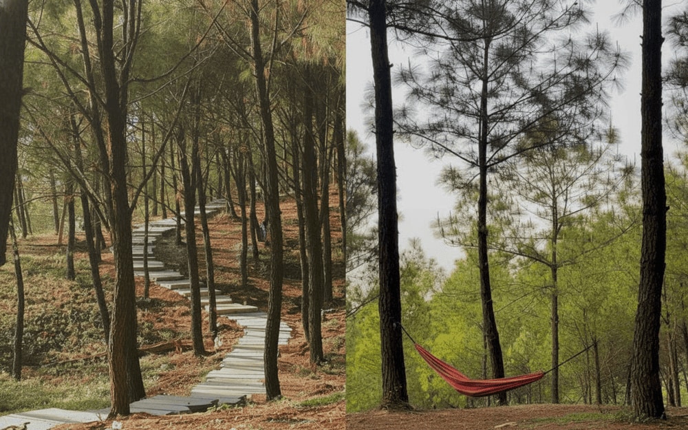 Thời tiết tháng 03 - tháng 08 khô ráo nên rất thuận lợi cho các hoạt động ngoài trời tại đồi Vọng Cảnh