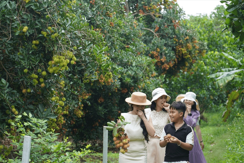 Trái cây theo mùa ở Đồng Nai tươi ngon, phong phú và thường được bày bán tại các nhà vườn hoặc chợ địa phương (Nguồn: Báo Lao Động)