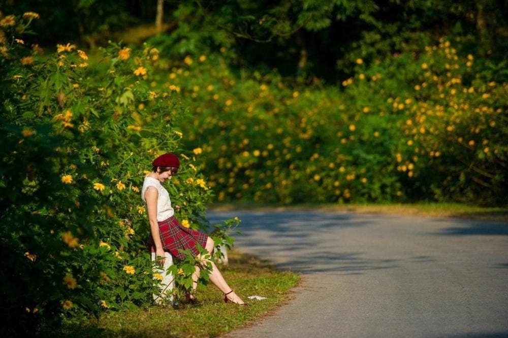 Du khách có thể đến vườn quốc gia Ba Vì vào mùa hoa dã quỳ nở