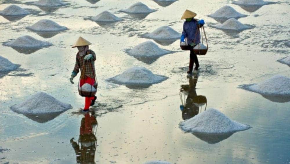 Du khách có thể khám phá quy trình làm muối biển với ngư dân vùng biển Đảo Thạnh An