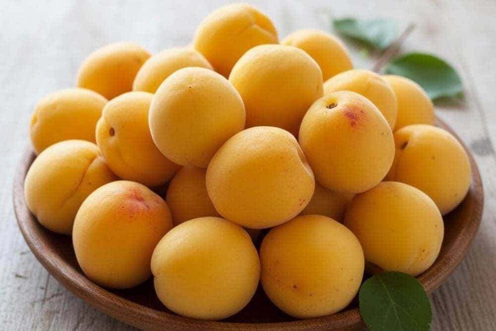 Mơ chùa Hương rất ngon và dày cùi