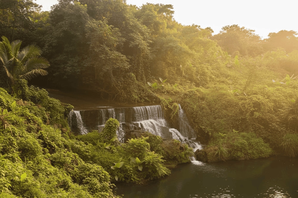 Hệ sinh thái ở Ba Vì đa dạng, mang đến không khí trong lành, thư thái