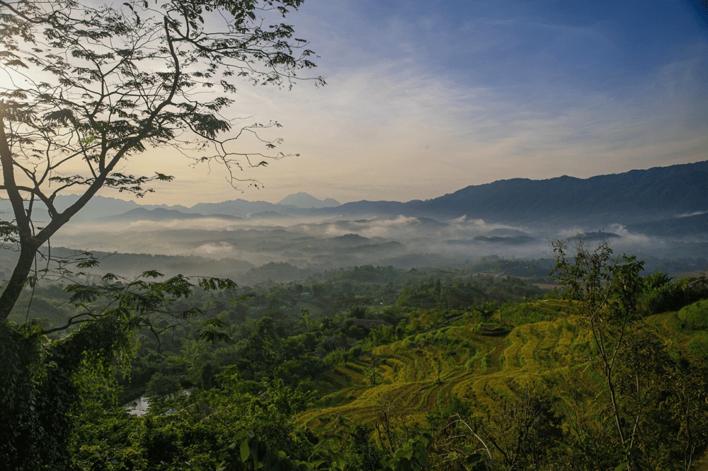Mai Châu gây ấn tượng bởi vẻ đẹp bình dị, gần gũi (Nguồn: Avana Retreat)