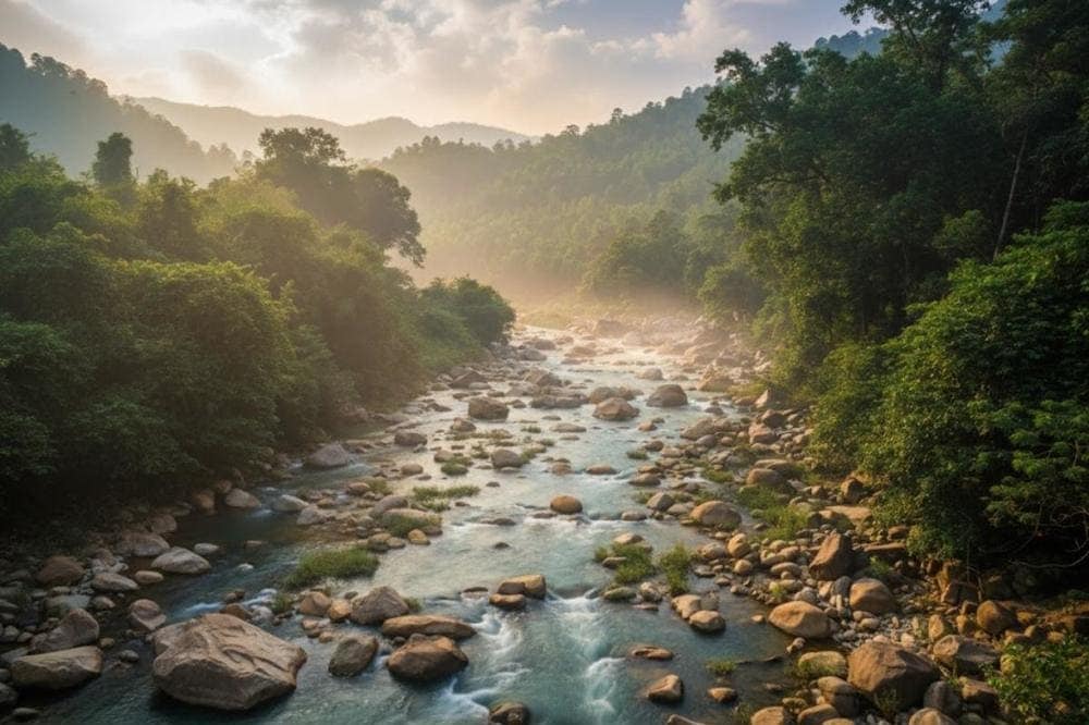 Khám phá thiên nhiên hoang sơ tại Khu bảo tồn thiên nhiên Hòn Bà.