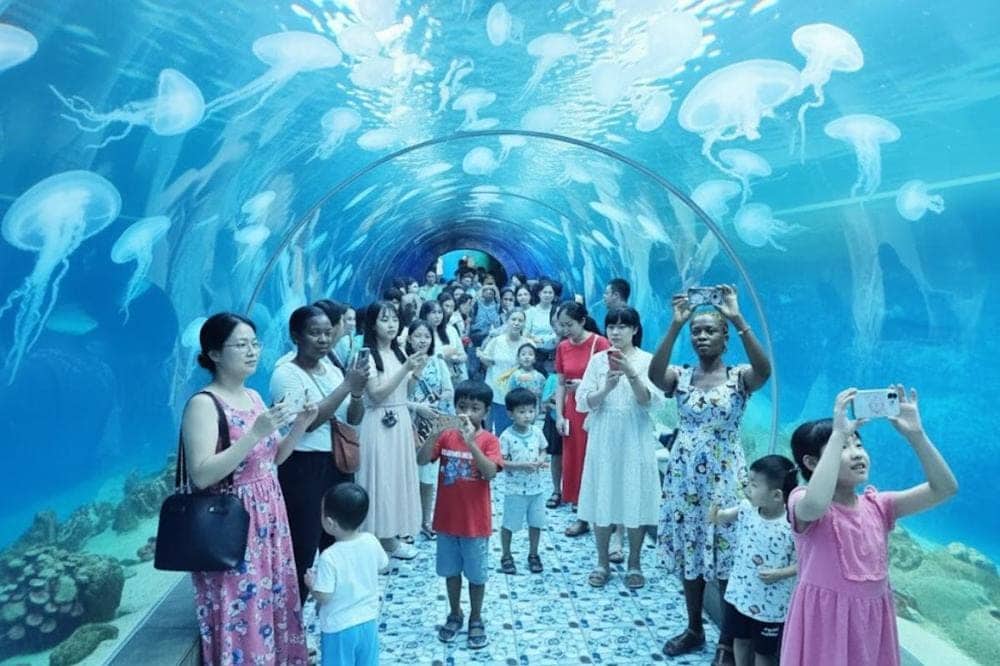 Viện Hải dương học là điểm đến tuyệt vời cho mọi lứa tuổi, đặc biệt là các em nhỏ.