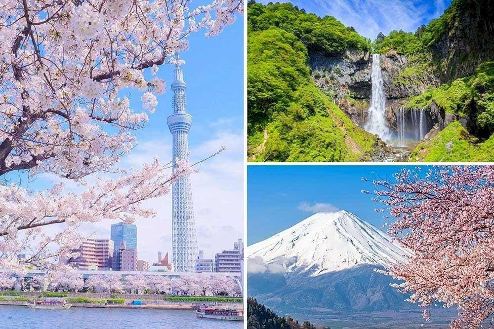 Các địa điểm du lịch nổi tiếng khu vực Tokyo và vùng Kanto. (Nguồn: Internet)