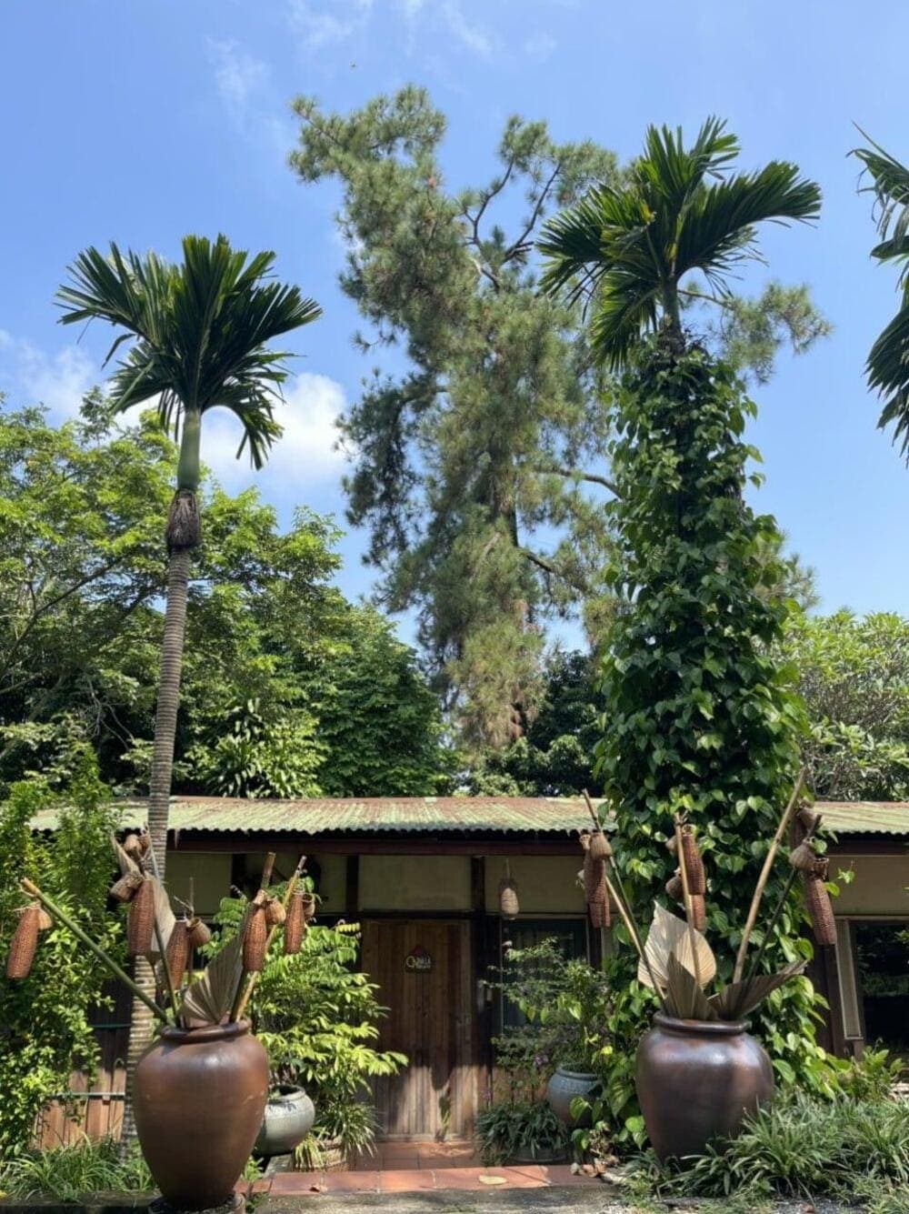 Khung cảnh quán cafe Phong Châu Vilage thơ mộng