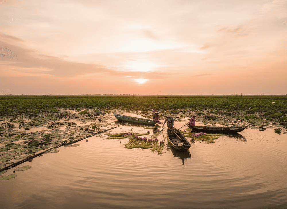 Khu du lịch sinh thái Gáo Giồng