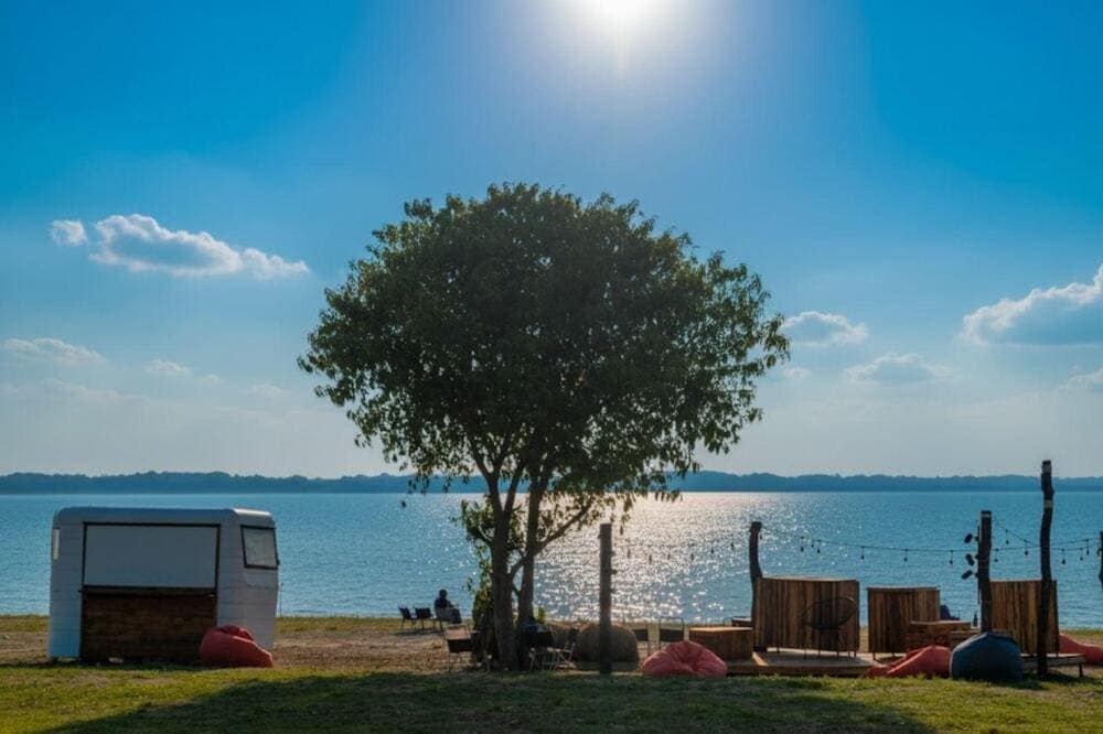 Cây cô đơn bên hồ Dầu Tiếng