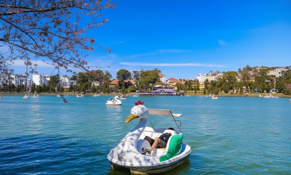 Du khách có thể thuê thuyền vịt đạp ngắm cảnh quanh hồ Xuân Hương