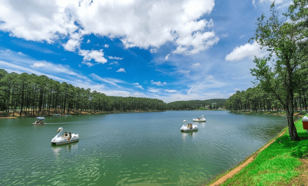 Hồ Xuân Hương được bao quanh bởi hàng thông xanh ngát