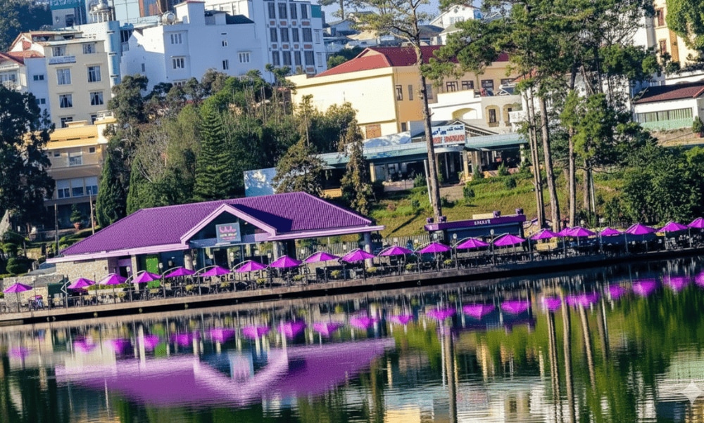 Từ quán cà phê ven hồ, bạn có thể ngắm trọn khung cảnh thiên nhiên xinh đẹp của hồ Xuân Hương