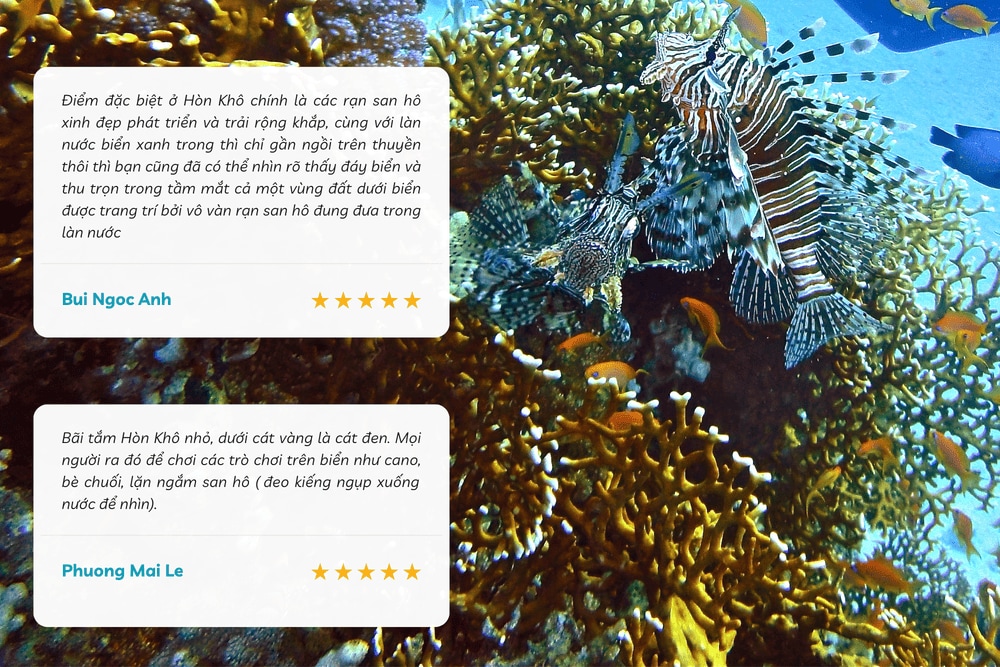 Lặn ngắm san hô Hòn Khô là trải nghiệm không nên bỏ lỡ khi ghé thăm Hòn Khô (Nguồn: Internet)