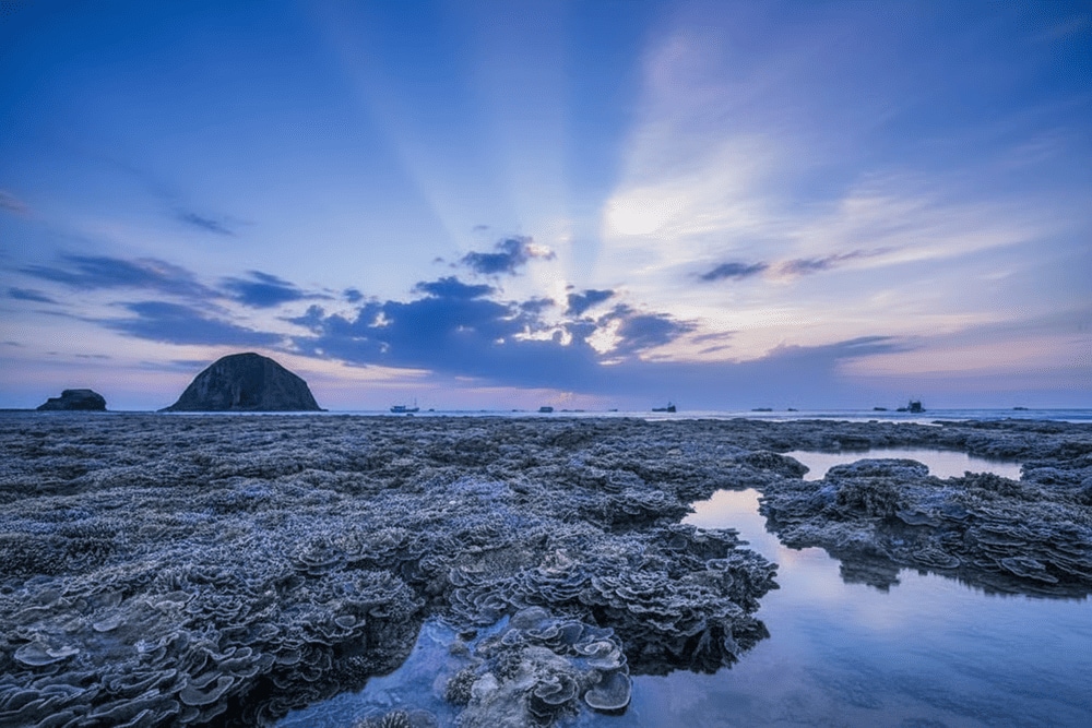 Cung đường đến Hòn Yến tương đối dễ di chuyển