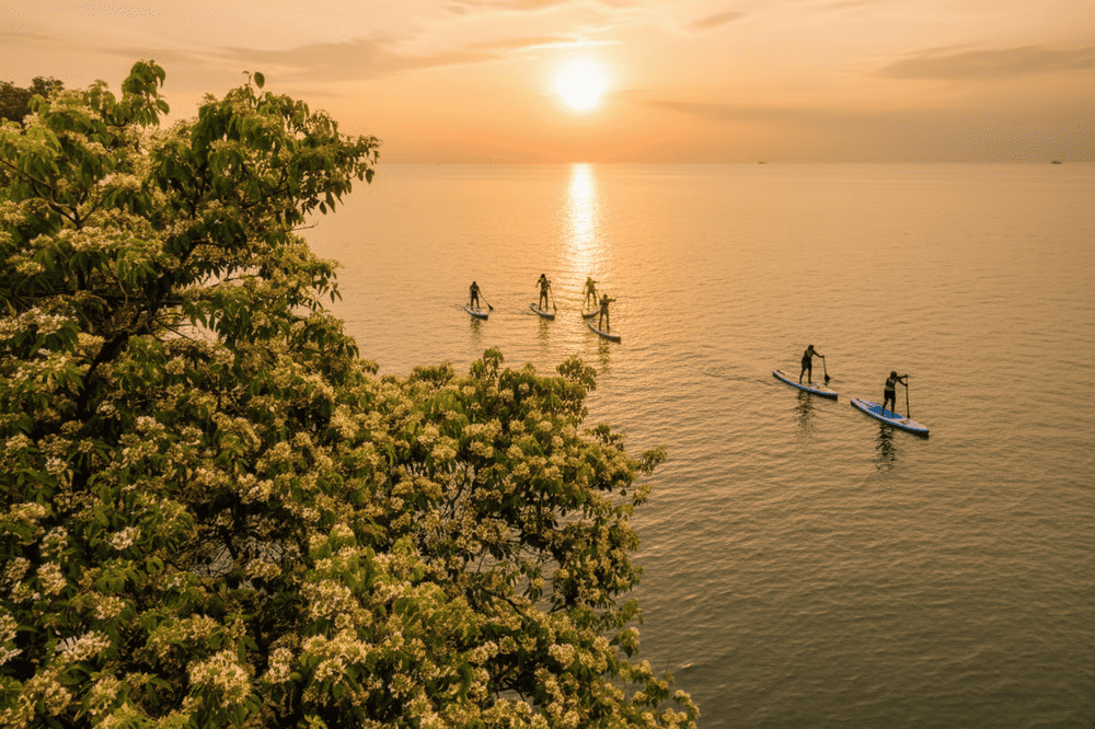 Chèo SUP trên sông