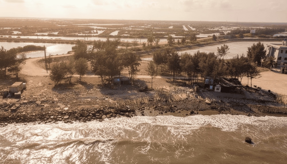 Toàn bộ khu vực Cồn Vành bao gồm cả bãi biển và khu bảo tồn đất ngập nước