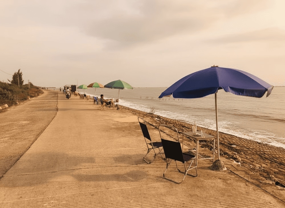 Du khách có thể chạy xe chầm chậm dọc đường đê và ngắm cảnh